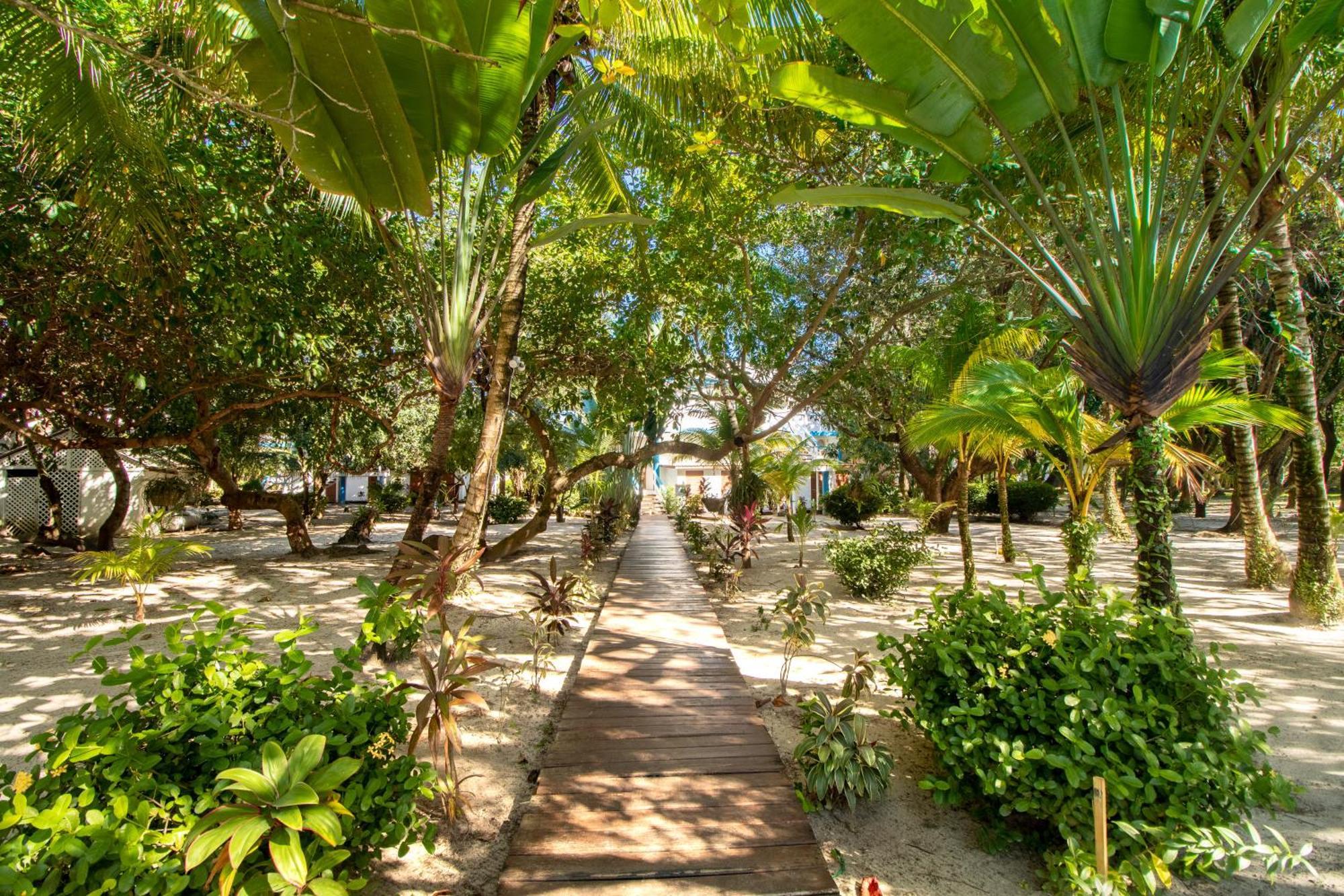 Condo #24 @ Beachside Villas Placencia 外观 照片